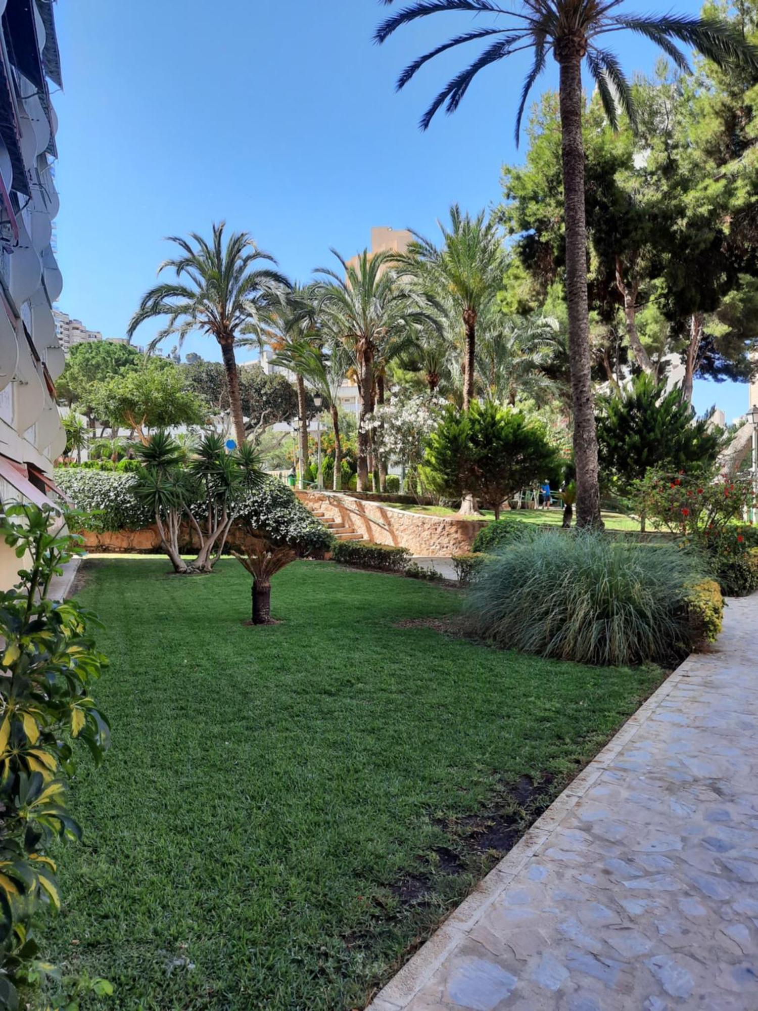 Playmon Holiday Apartment Μπένιντορμ Εξωτερικό φωτογραφία